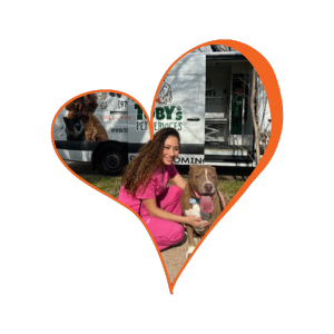 Happy dog in daycare